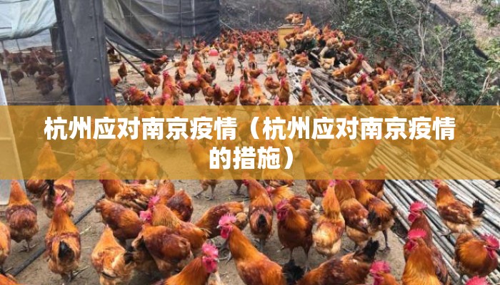 杭州应对南京疫情（杭州应对南京疫情的措施）