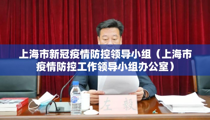 上海市新冠疫情防控领导小组（上海市疫情防控工作领导小组办公室）