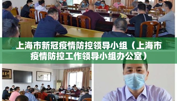上海市新冠疫情防控领导小组（上海市疫情防控工作领导小组办公室）