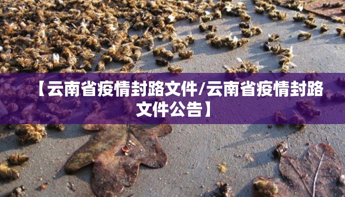 【云南省疫情封路文件/云南省疫情封路文件公告】
