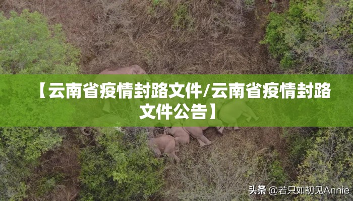 【云南省疫情封路文件/云南省疫情封路文件公告】