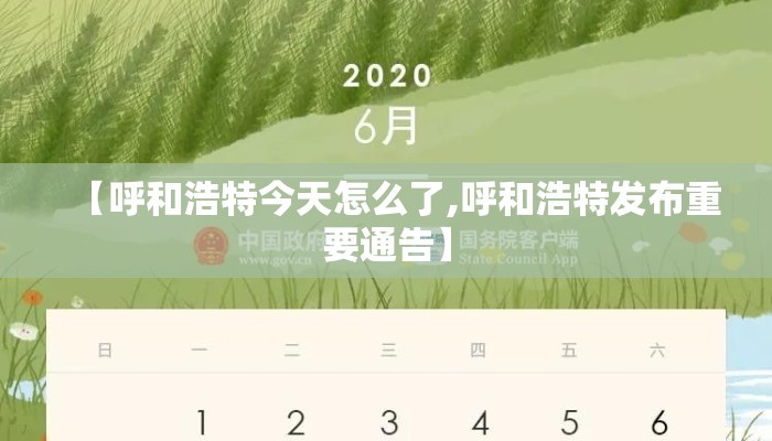 【呼和浩特今天怎么了,呼和浩特发布重要通告】