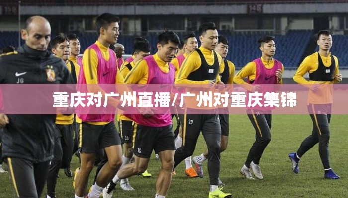 重庆对广州直播/广州对重庆集锦
