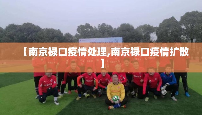 【南京禄口疫情处理,南京禄口疫情扩散】