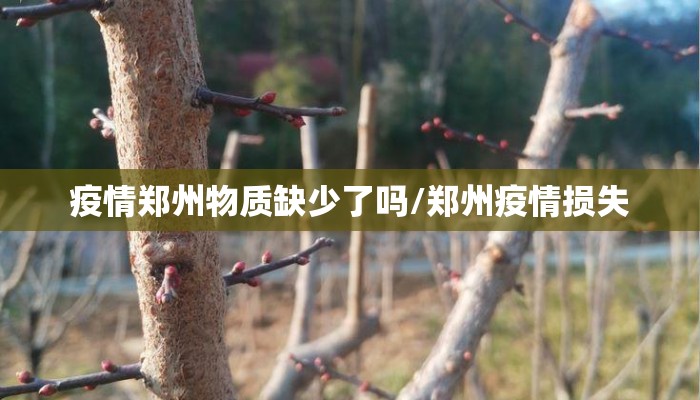 疫情郑州物质缺少了吗/郑州疫情损失