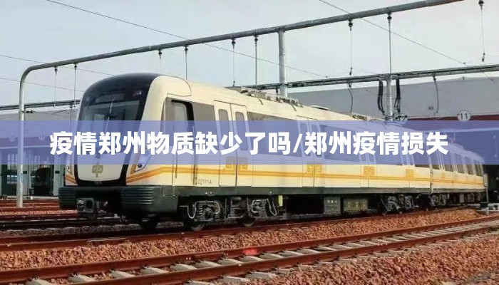 疫情郑州物质缺少了吗/郑州疫情损失