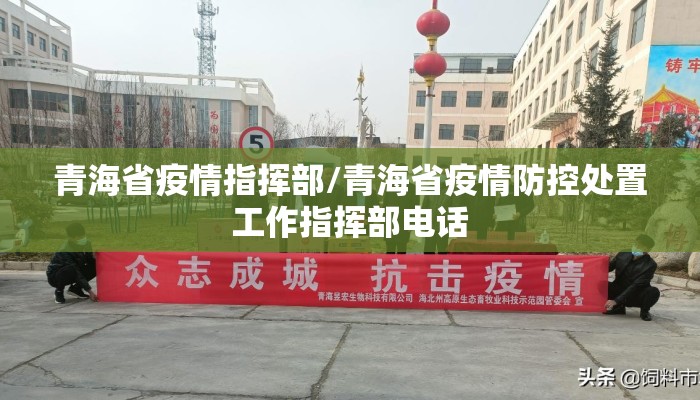 青海省疫情指挥部/青海省疫情防控处置工作指挥部电话