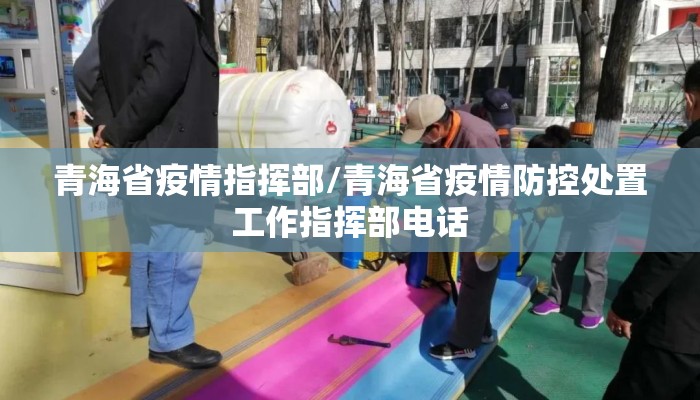 青海省疫情指挥部/青海省疫情防控处置工作指挥部电话