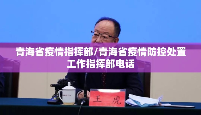 青海省疫情指挥部/青海省疫情防控处置工作指挥部电话