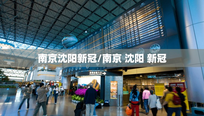 南京沈阳新冠/南京 沈阳 新冠