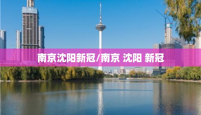 南京沈阳新冠/南京 沈阳 新冠