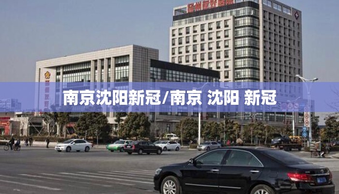 南京沈阳新冠/南京 沈阳 新冠