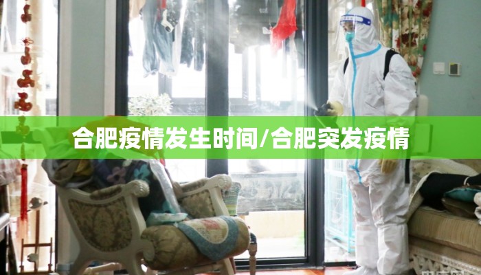 合肥疫情发生时间/合肥突发疫情