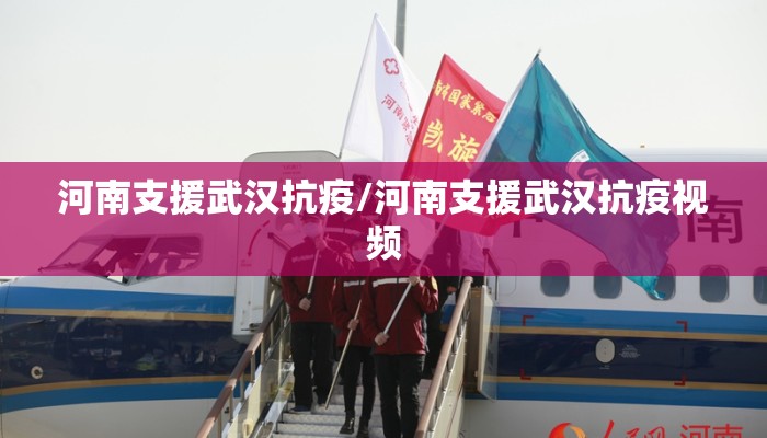 河南支援武汉抗疫/河南支援武汉抗疫视频