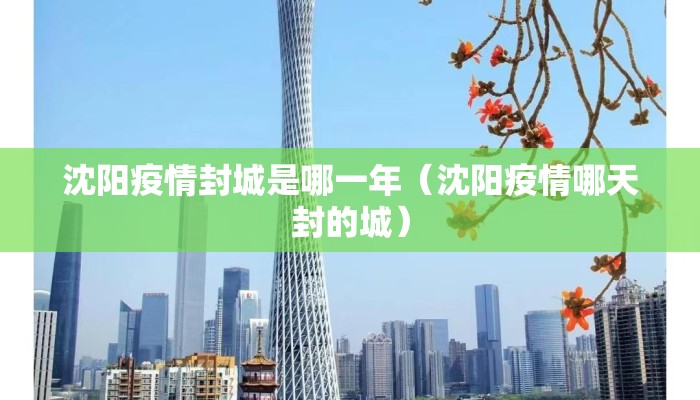 沈阳疫情封城是哪一年（沈阳疫情哪天封的城）
