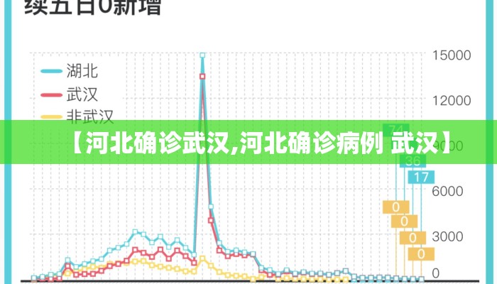 【河北确诊武汉,河北确诊病例 武汉】