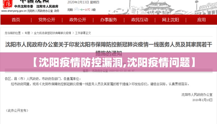 【沈阳疫情防控漏洞,沈阳疫情问题】
