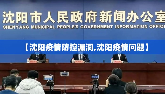 【沈阳疫情防控漏洞,沈阳疫情问题】