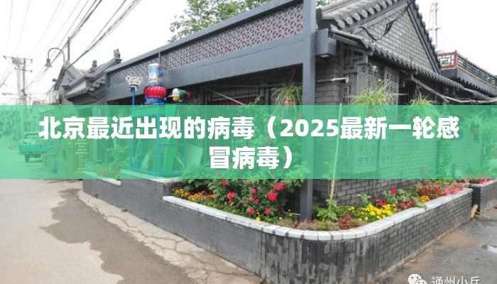 北京最近出现的病毒（2025最新一轮感冒病毒）