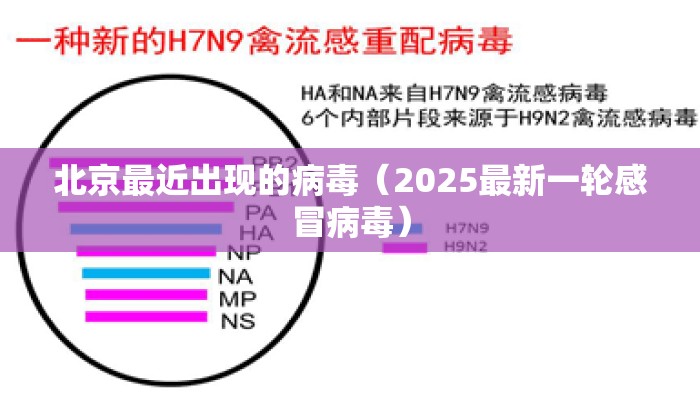 北京最近出现的病毒（2025最新一轮感冒病毒）