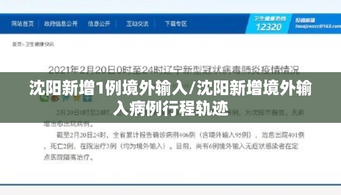 沈阳新增1例境外输入/沈阳新增境外输入病例行程轨迹