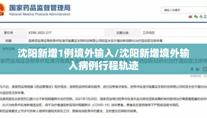 沈阳新增1例境外输入/沈阳新增境外输入病例行程轨迹