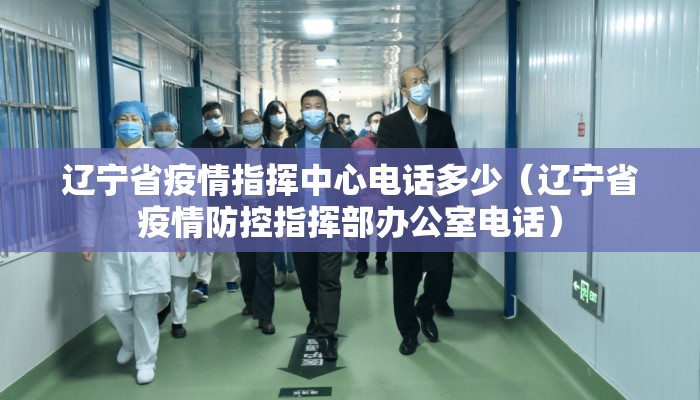 辽宁省疫情指挥中心电话多少（辽宁省疫情防控指挥部办公室电话）