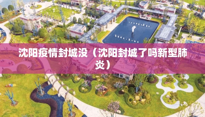 沈阳疫情封城没（沈阳封城了吗新型肺炎）