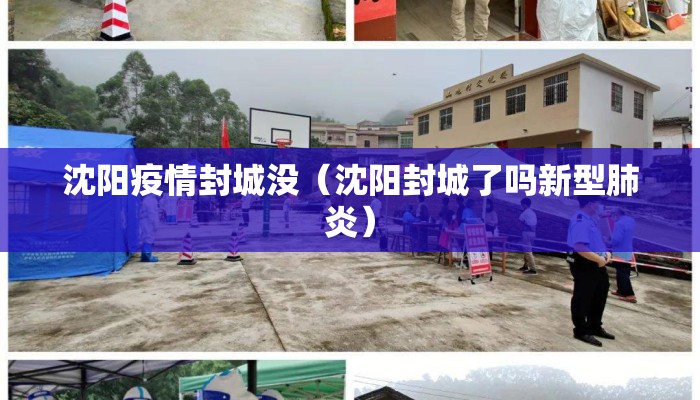 沈阳疫情封城没（沈阳封城了吗新型肺炎）
