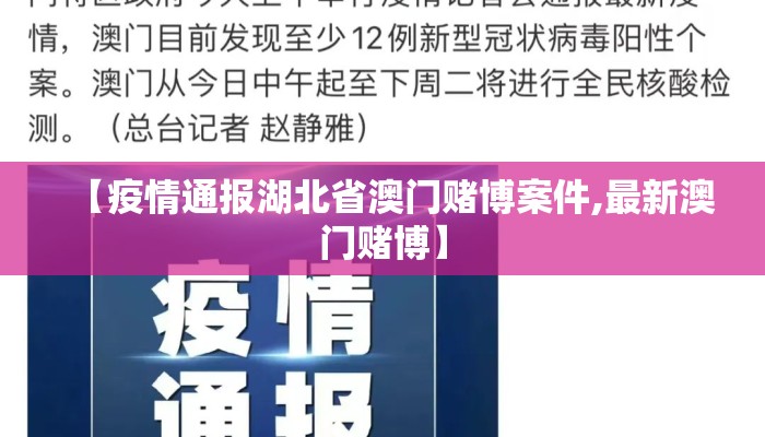 【疫情通报湖北省澳门赌博案件,最新澳门赌博】