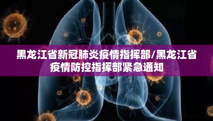 黑龙江省新冠肺炎疫情指挥部/黑龙江省疫情防控指挥部紧急通知