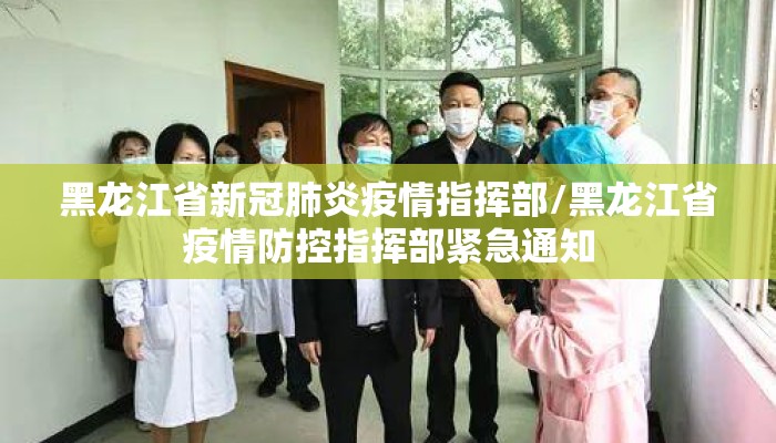 黑龙江省新冠肺炎疫情指挥部/黑龙江省疫情防控指挥部紧急通知