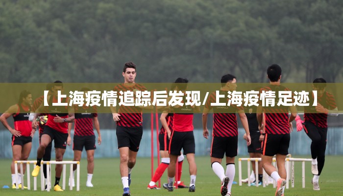 【上海疫情追踪后发现/上海疫情足迹】
