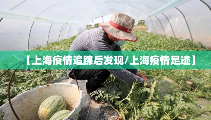 【上海疫情追踪后发现/上海疫情足迹】