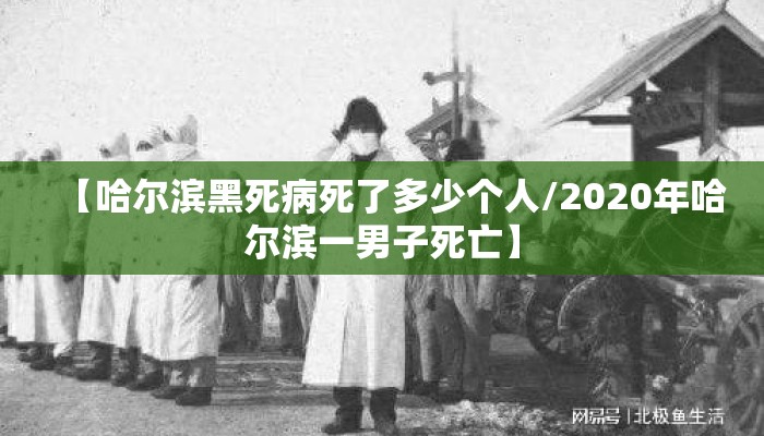 【哈尔滨黑死病死了多少个人/2020年哈尔滨一男子死亡】