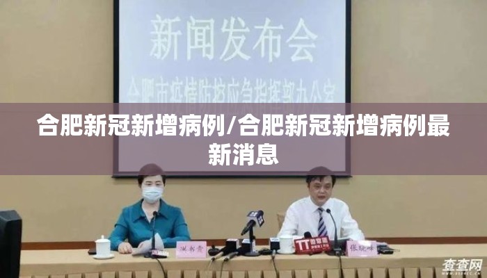 合肥新冠新增病例/合肥新冠新增病例最新消息