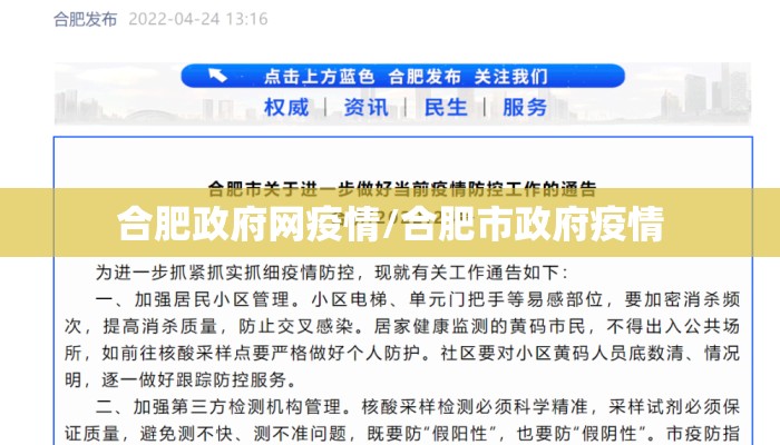 合肥政府网疫情/合肥市政府疫情