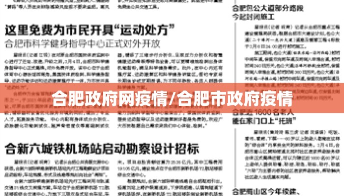合肥政府网疫情/合肥市政府疫情