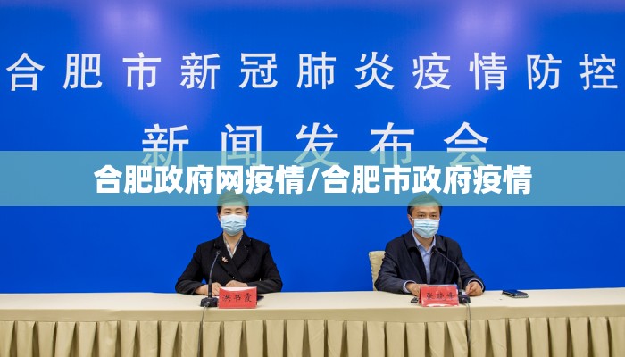合肥政府网疫情/合肥市政府疫情