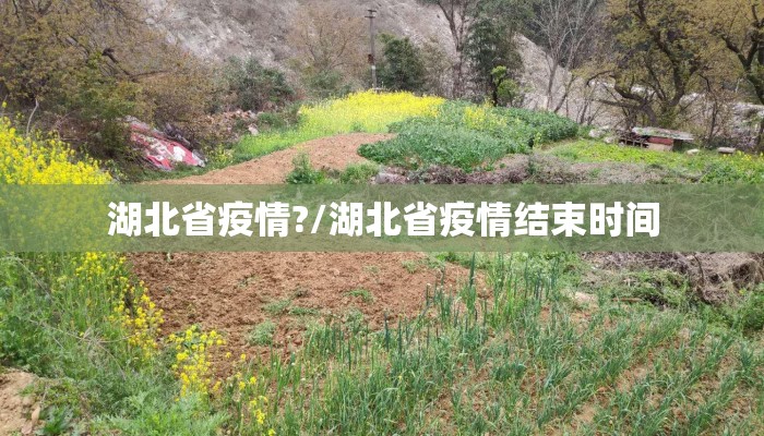 湖北省疫情?/湖北省疫情结束时间