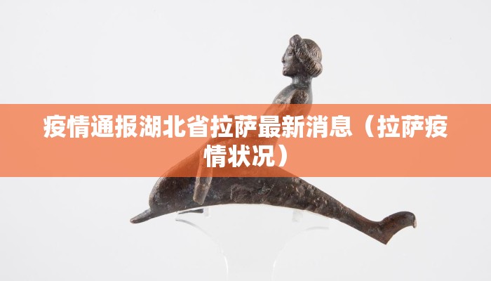 疫情通报湖北省拉萨最新消息（拉萨疫情状况）
