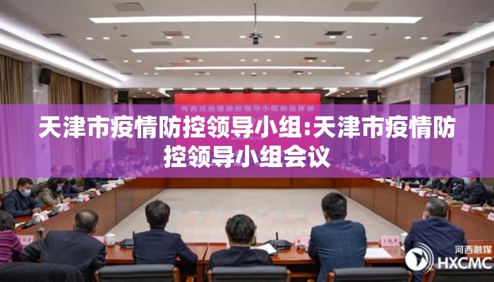 天津市疫情防控领导小组:天津市疫情防控领导小组会议 天津市疫情防控领导小组:天津市疫情防控领导小组会议
