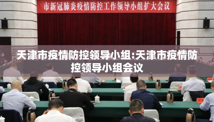 天津市疫情防控领导小组:天津市疫情防控领导小组会议 天津市疫情防控领导小组:天津市疫情防控领导小组会议