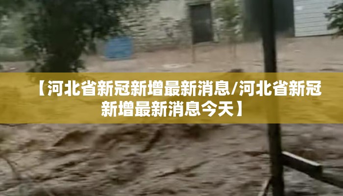 【河北省新冠新增最新消息/河北省新冠新增最新消息今天】 【河北省新冠新增最新消息/河北省新冠新增最新消息今天】