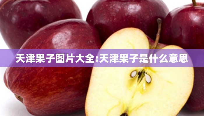 天津果子图片大全:天津果子是什么意思