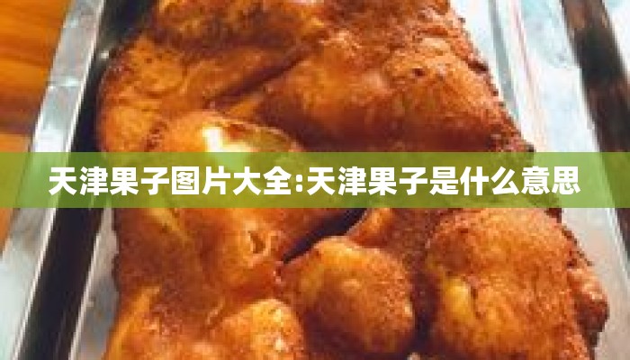 天津果子图片大全:天津果子是什么意思