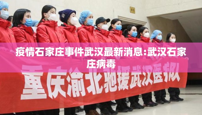 疫情石家庄事件武汉最新消息:武汉石家庄病毒