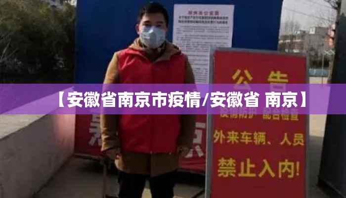 【安徽省南京市疫情/安徽省 南京】
