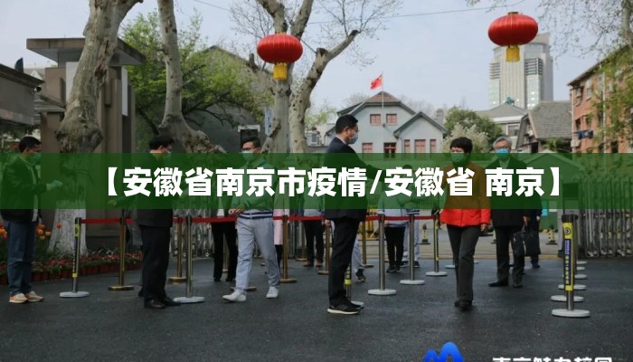【安徽省南京市疫情/安徽省 南京】
