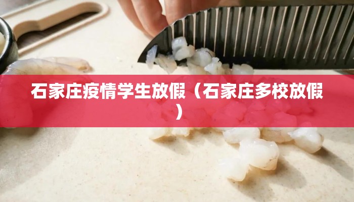 石家庄疫情学生放假（石家庄多校放假）